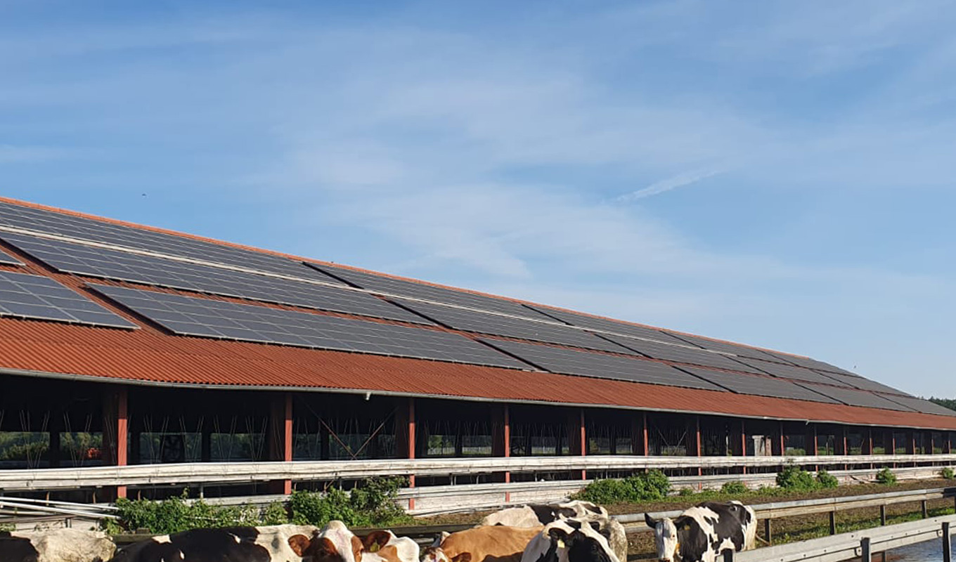 Photovoltaik- und Solaranlagenreinigung